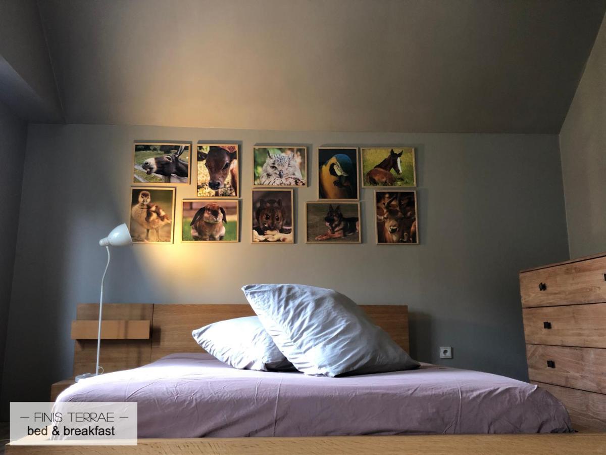 Huis Aan Puyenbroeck Wachtebeke Экстерьер фото